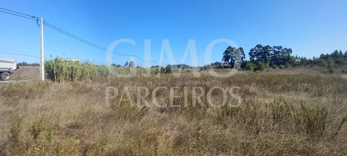 Terreno para Venda em Santo Andre de Vagos Foto 11