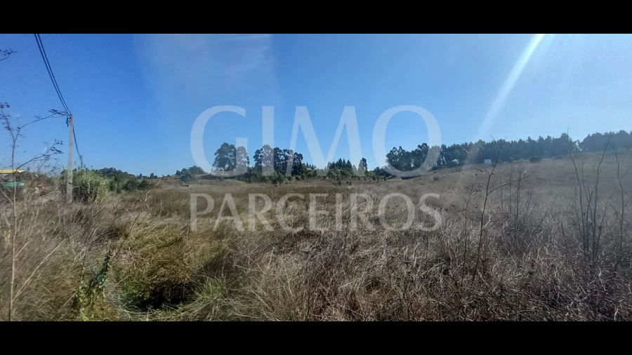 Terreno para Venda em Santo Andre de Vagos