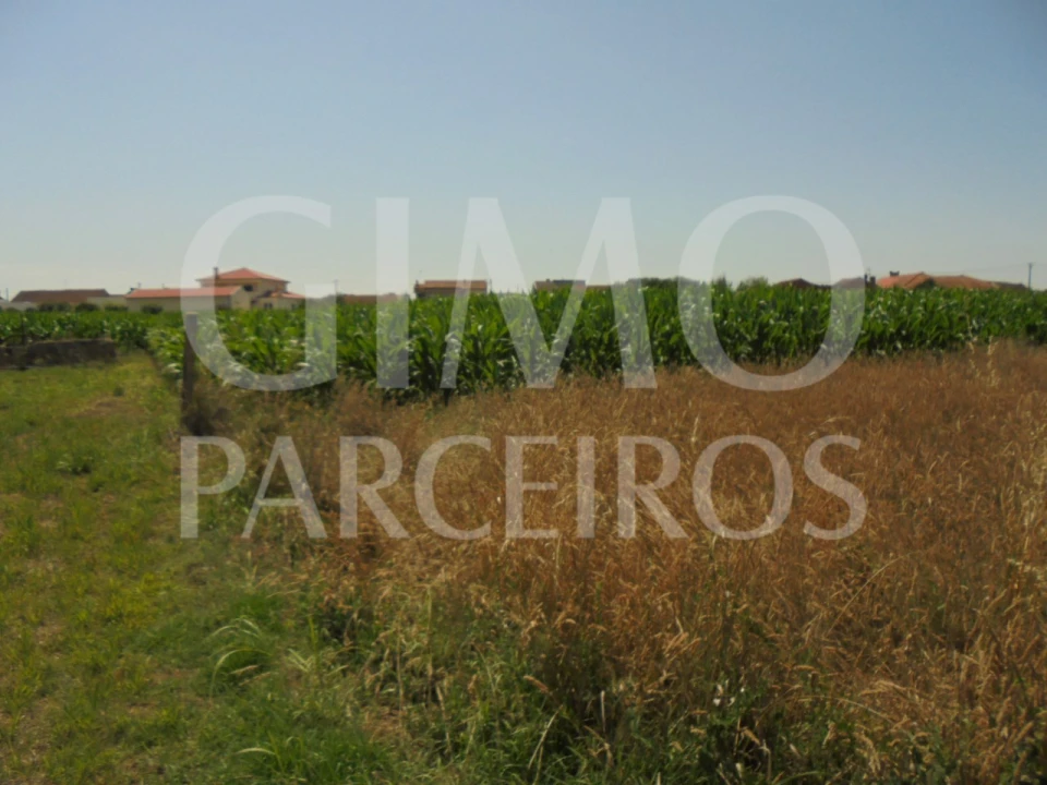 Terreno para Venda em Oiã Foto 2