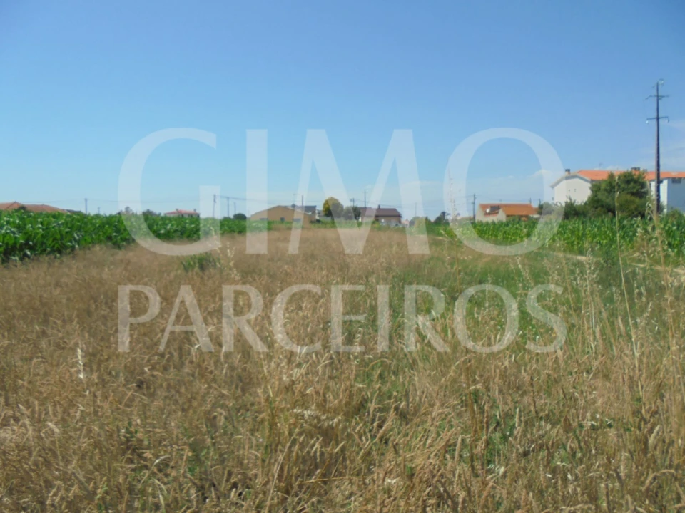 Terreno para Venda em Oiã Foto 3