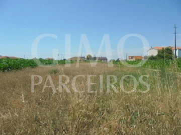 Terreno para Venda em Oiã