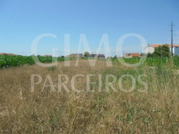 Terreno para Venda em Oiã