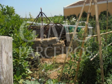 Terreno para Venda em Oiã