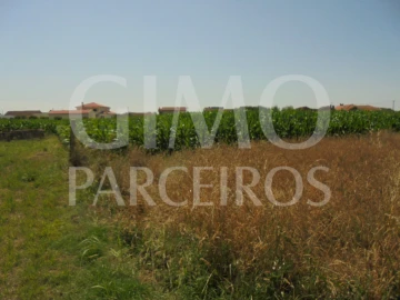 Terreno para Venda em Oiã