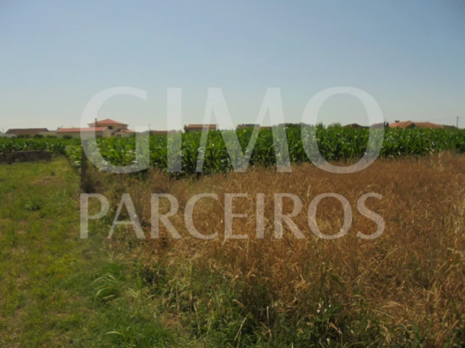 Terreno para Venda em Oiã Foto 2