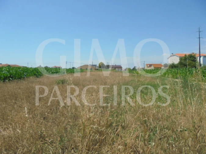 Terreno para Venda em Oiã Foto 10
