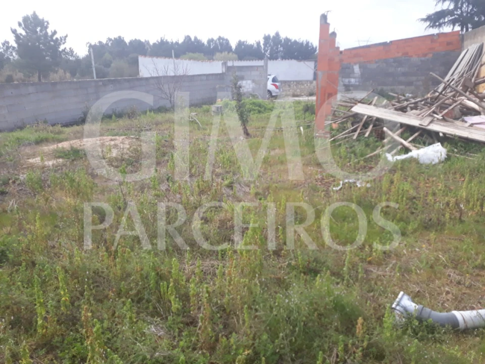 Terreno para Venda em Oliveira do Bairro Foto 2