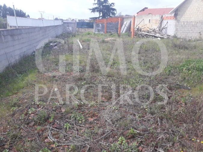 Terreno para Venda em Oliveira do Bairro