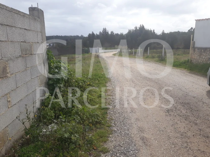Terreno para Venda em Oliveira do Bairro Foto 4