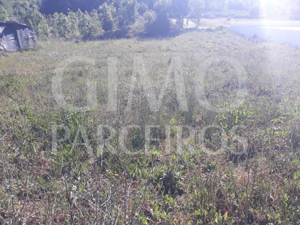 Terreno para Venda em Sangalhos Foto 8