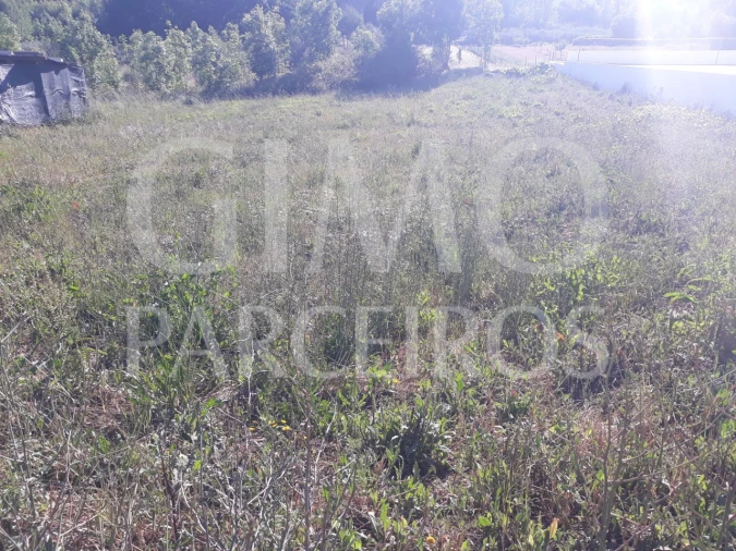 Terreno para Venda em Sangalhos Foto 1