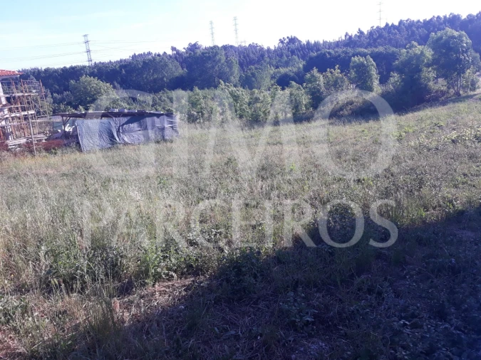 Terreno para Venda em Sangalhos Foto 3