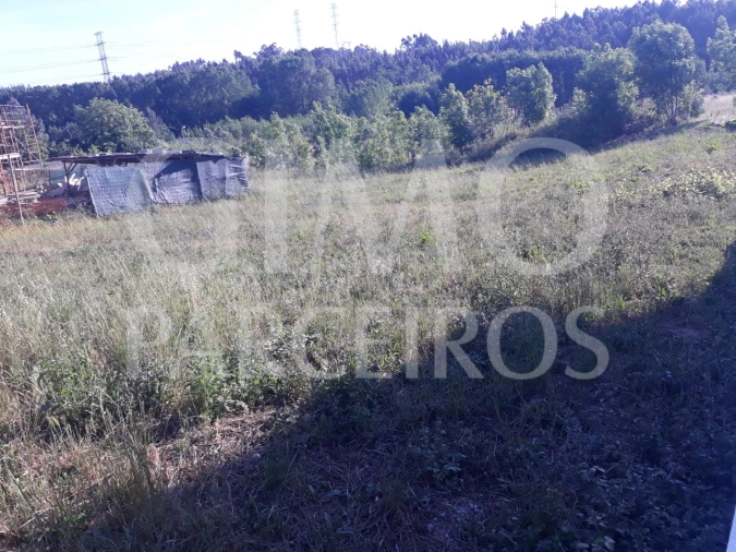 Terreno para Venda em Sangalhos Foto 10