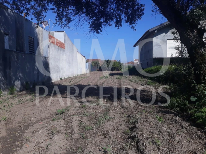 Terreno para Venda em Palhaça Foto 1