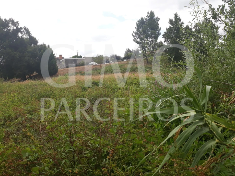 Terreno para Venda em Sangalhos Foto 2