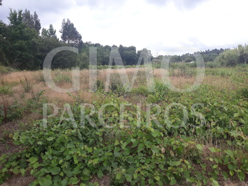 Terreno para Venda em Sangalhos Foto 5