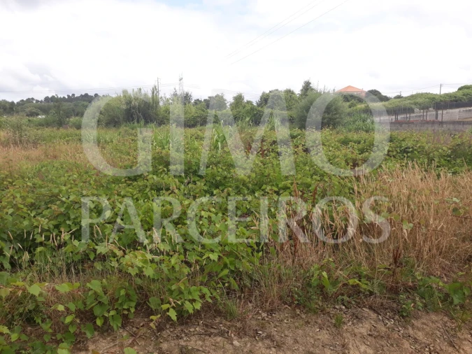 Terreno para Venda em Sangalhos Foto 6