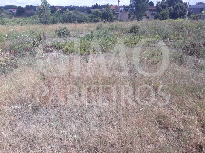 Terreno para Venda em Sangalhos Foto 12