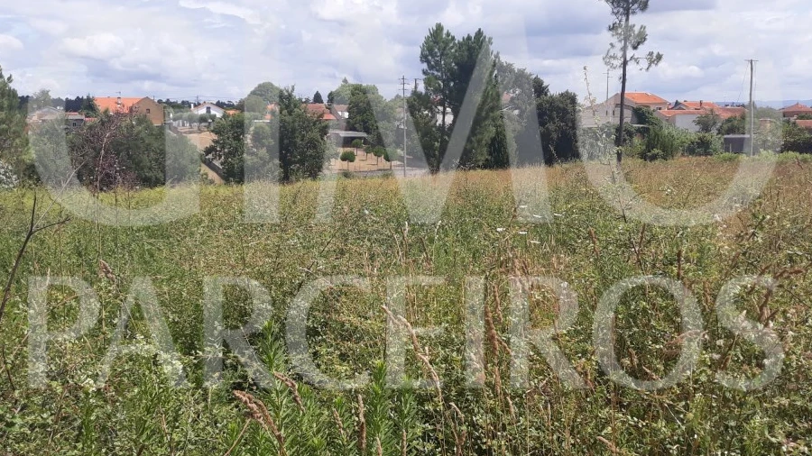 Terreno para Venda em Sangalhos