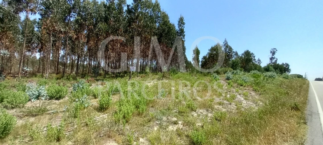 Terreno para Venda em Palhaça Foto 1