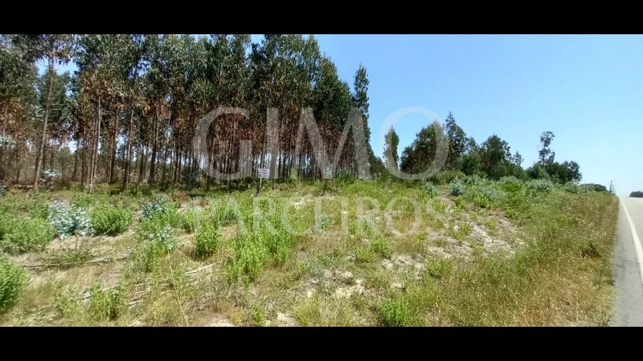 Terreno para Venda em Palhaça