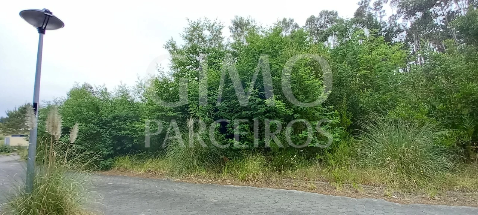 Terreno para Venda em Águeda e Borralha Foto 5