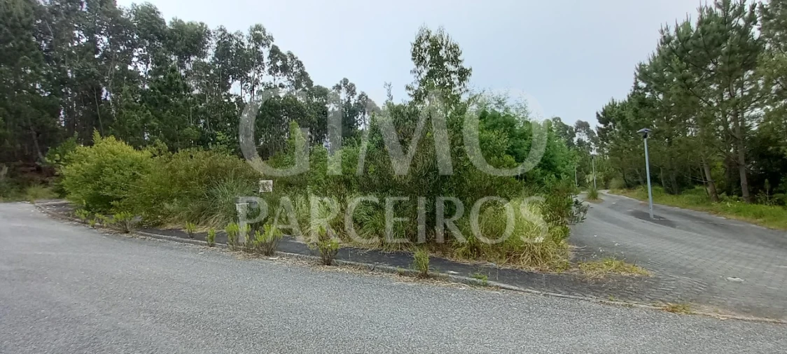 Terreno para Venda em Águeda e Borralha