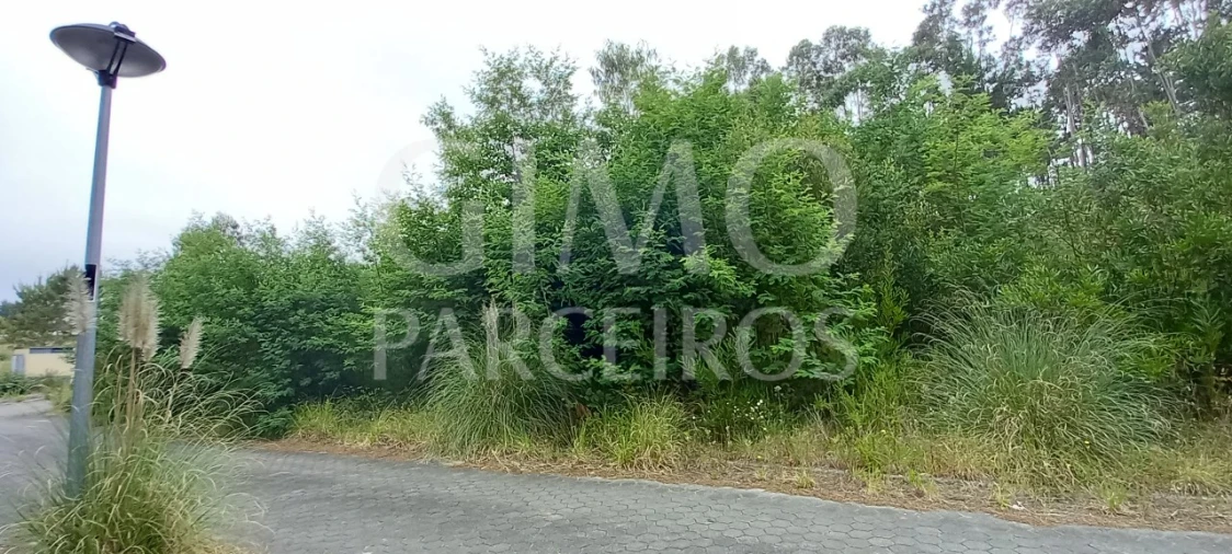 Terreno para Venda em Águeda e Borralha Foto 5