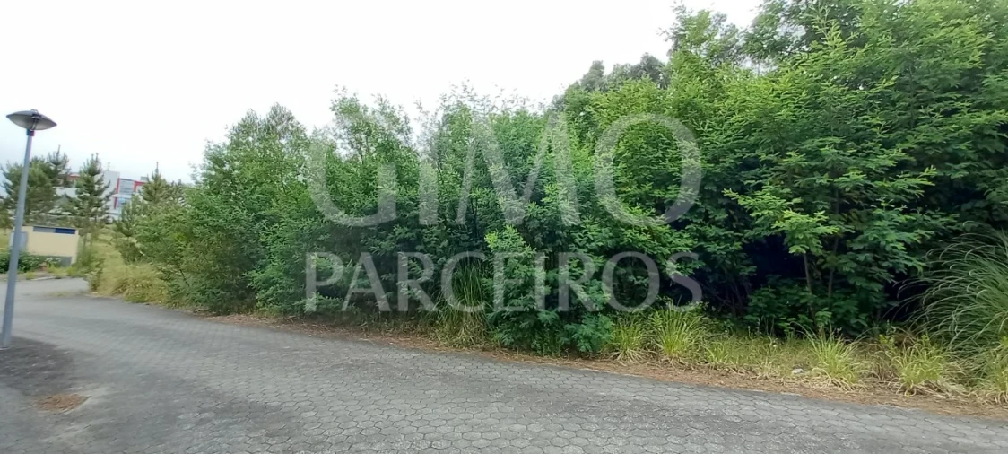 Terreno para Venda em Águeda e Borralha Foto 8