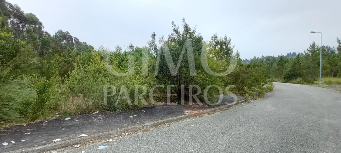 Terreno para Venda em Águeda e Borralha Foto 9