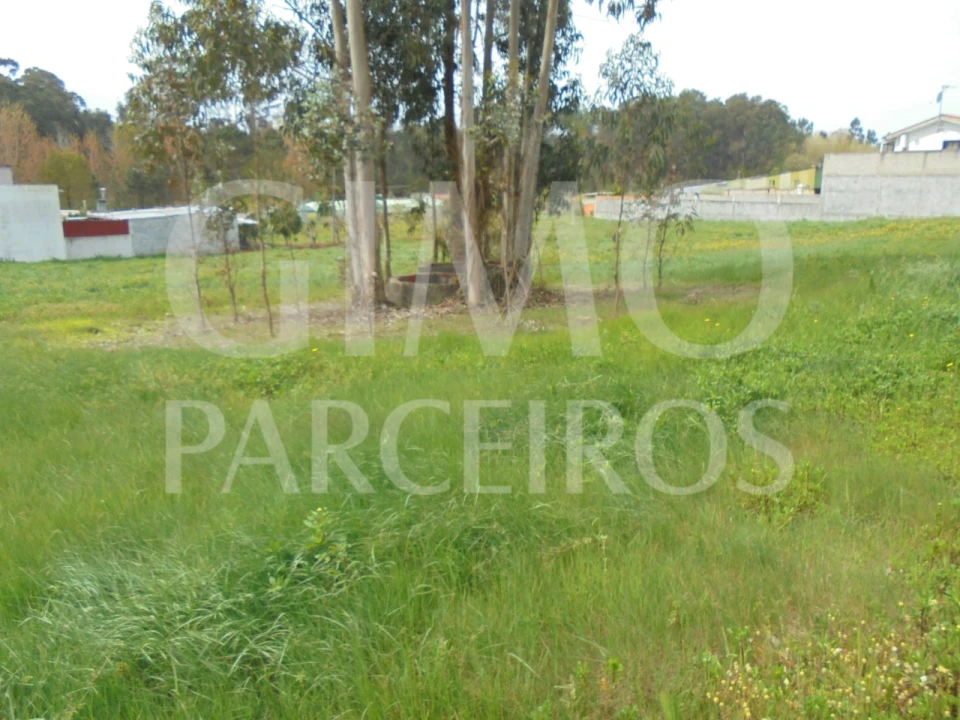 Terreno para Venda em Oiã Foto 2