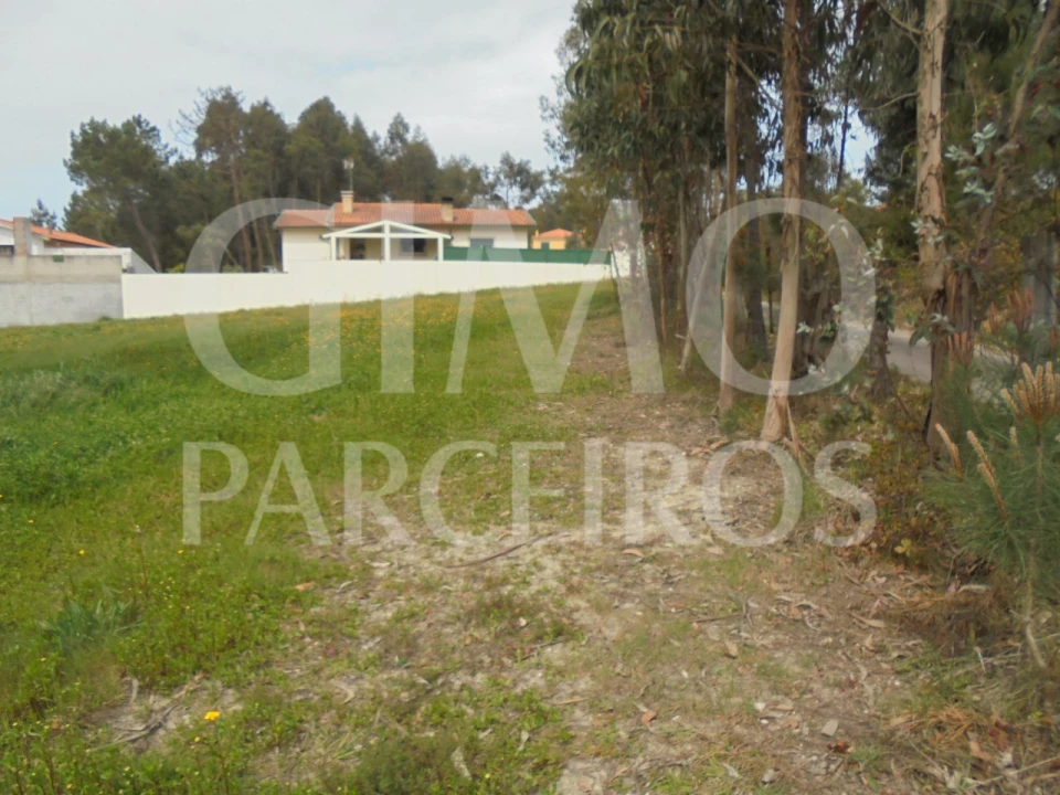 Terreno para Venda em Oiã Foto 7