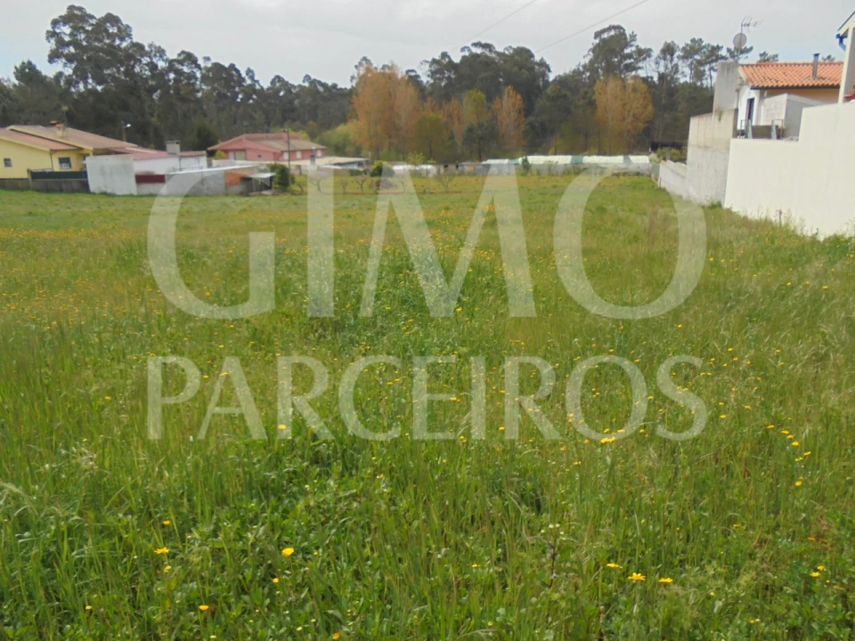 Terreno para Venda em Oiã Foto 9