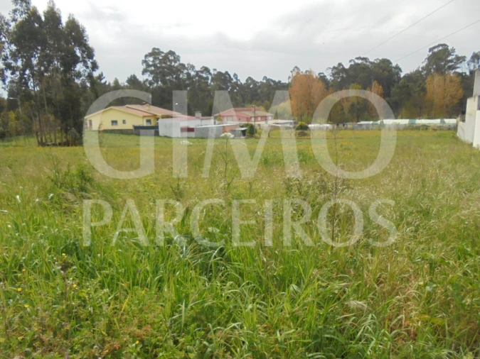 Terreno para Venda em Oiã Foto 1