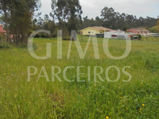 Terreno para Venda em Oiã Foto 5
