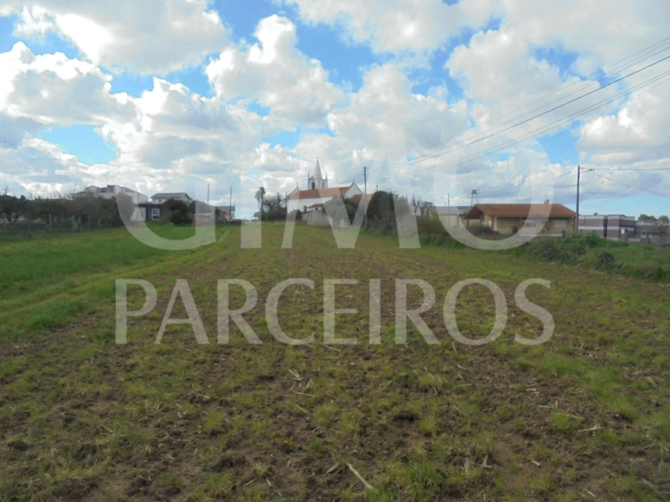 Terreno para Venda em Bustos, Troviscal e Mamarrosa Foto 1