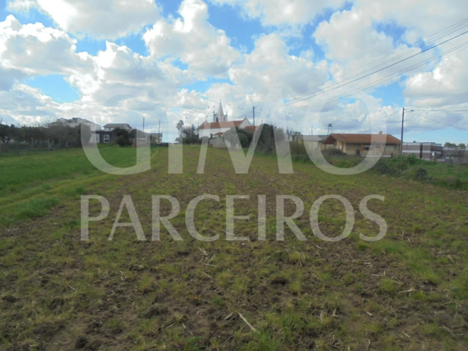 Terreno para Venda em Bustos, Troviscal e Mamarrosa Foto 2