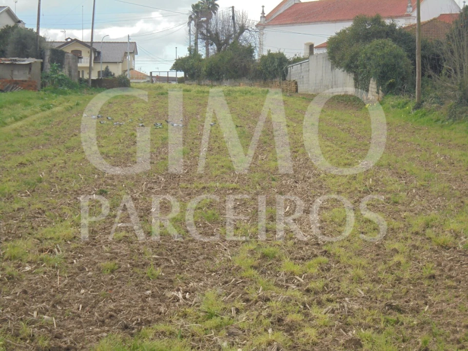 Terreno para Venda em Bustos, Troviscal e Mamarrosa Foto 3