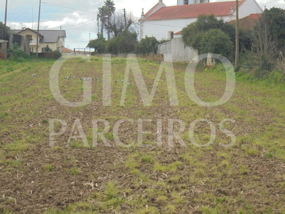 Terreno para Venda em Bustos, Troviscal e Mamarrosa Foto 4