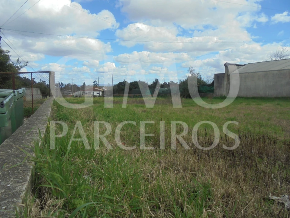 Terreno para Venda em Bustos, Troviscal e Mamarrosa Foto 8