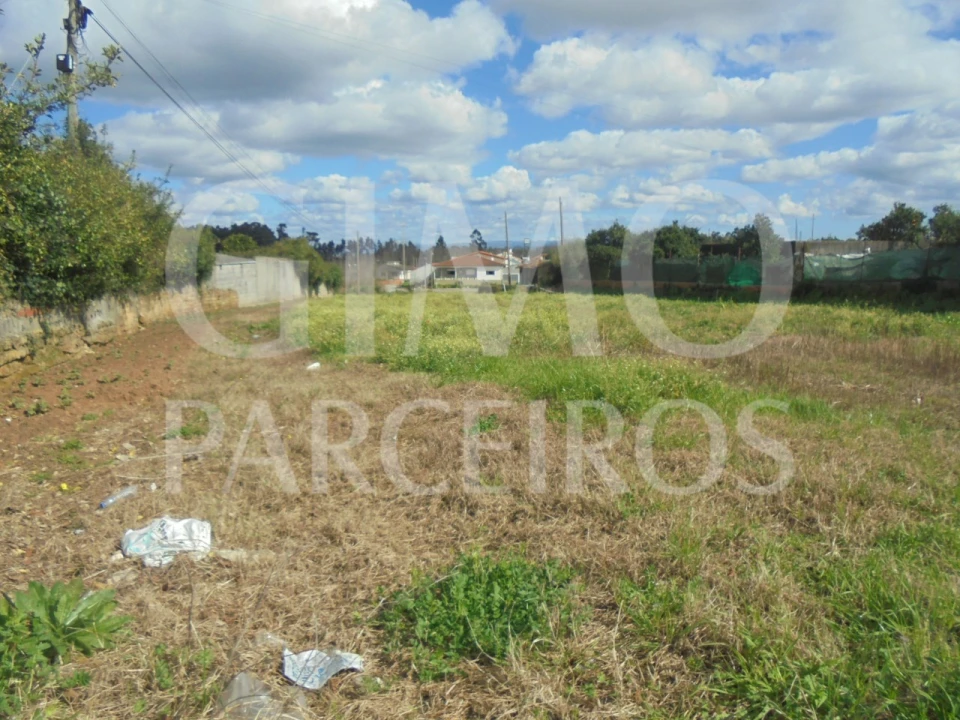 Terreno para Venda em Bustos, Troviscal e Mamarrosa Foto 13