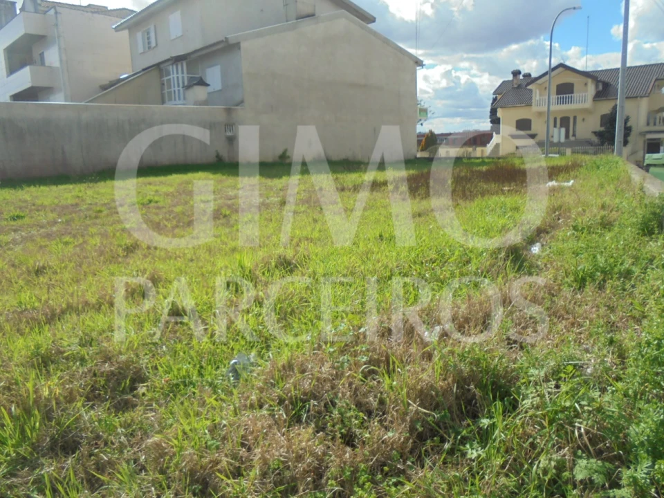 Terreno para Venda em Bustos, Troviscal e Mamarrosa Foto 14