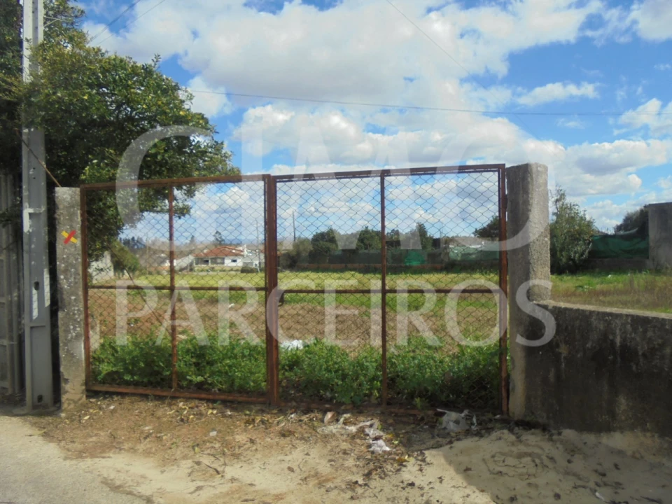 Terreno para Venda em Bustos, Troviscal e Mamarrosa Foto 15