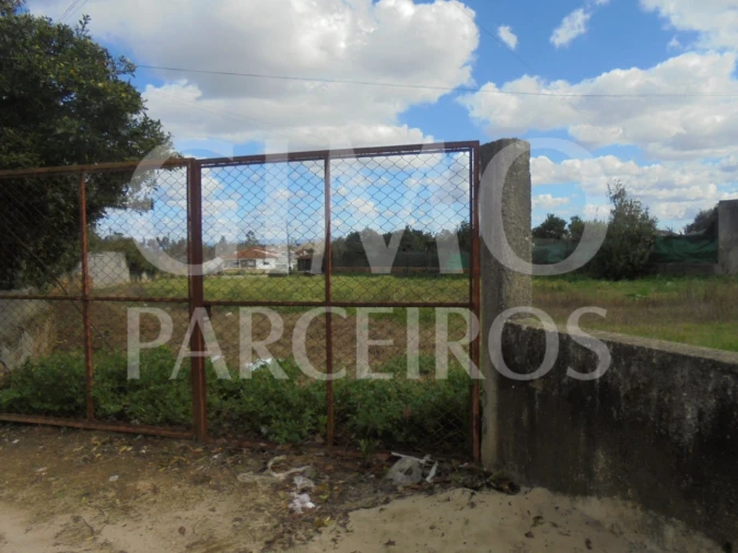 Terreno para Venda em Bustos, Troviscal e Mamarrosa Foto 7