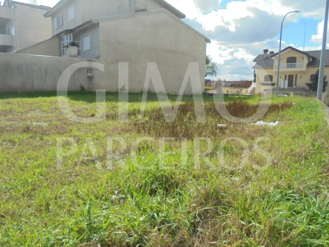 Terreno para Venda em Bustos, Troviscal e Mamarrosa Foto 9