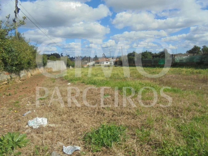Terreno para Venda em Bustos, Troviscal e Mamarrosa Foto 11