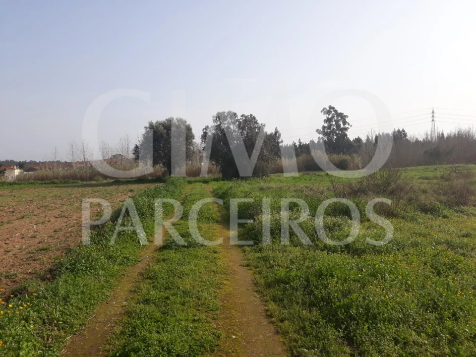 Terreno para Venda em Bustos, Troviscal e Mamarrosa Foto 2