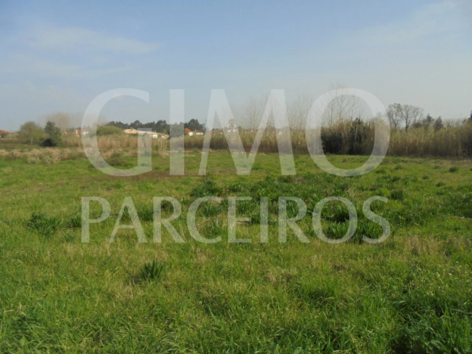 Terreno para Venda em Bustos, Troviscal e Mamarrosa Foto 6