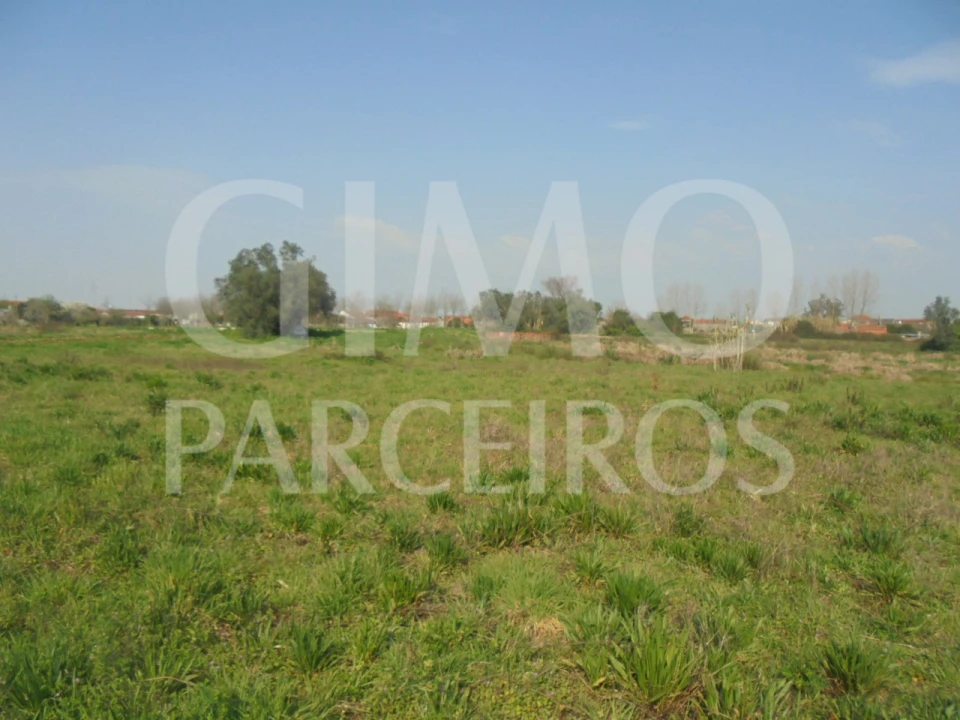 Terreno para Venda em Bustos, Troviscal e Mamarrosa Foto 7