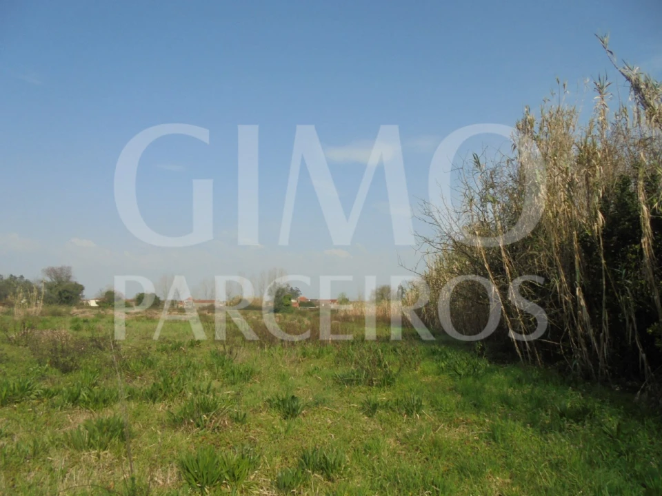 Terreno para Venda em Bustos, Troviscal e Mamarrosa Foto 9